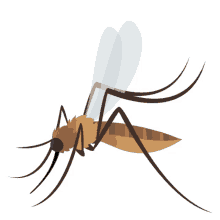 mosquito nature joypixels insect itchy bump