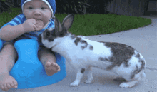 Bunny Stealing GIF - Bunny Stealing Baby GIFs