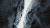 a black and white photo of a waterfall with a cliff in the background .