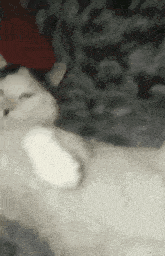 GIF
