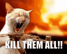 War Cat Kill Em All GIF - War Cat Kill Em All GIFs