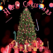 Christmas Countdown Christmas Break GIF - Christmas Countdown Christmas Break Christmas Tree GIFs