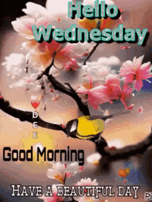 a bird is sitting on a branch with flowers and says `` hello wednesday good morning have a beautiful day . ''