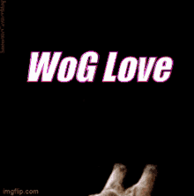 Wog Worldofgiraffe GIF - Wog Worldofgiraffe Love GIFs