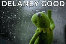 a kermit the frog is looking out a window in the rain
