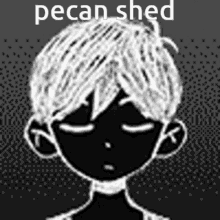 Pecans Shed GIF - Pecans Shed Lodge GIFs
