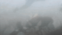 a blurred image of a person in a foggy area