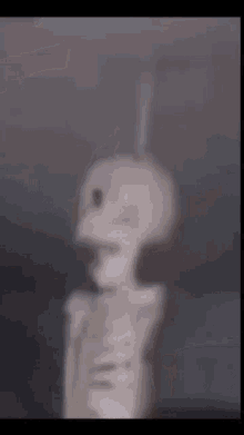 Rotating Skull GIF - Rotating Skull GIFs