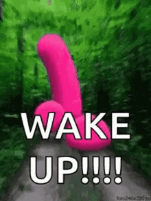 Wake Up Dildo GIF - Wake Up Dildo Running GIFs