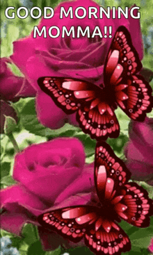 Flowers Flowers For You GIF