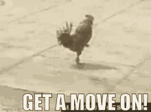Hurry Moveit GIF - Hurry Moveit GIFs