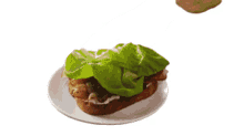 sandwich blt bread bacon lettuce