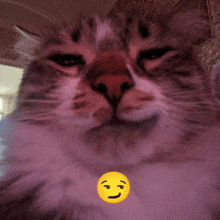 a close up of a cat 's face with a yellow smiley face in the foreground