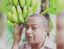 carry minati banana