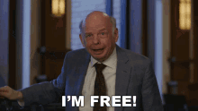 Im Free Charles Lester GIF - Im Free Charles Lester The Good Fight GIFs