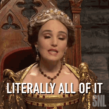 Literally All Of It Saturday Night Live GIF - Literally All Of It Saturday Night Live All Of It GIFs