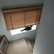 Cat Khawpan Look Out The Window GIF - Cat Khawpan Look Out The Window GIFs