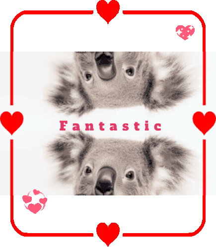 Koala Fantastic Sticker - Koala Fantastic Mignon Stickers
