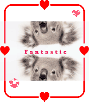 Koala Fantastic Sticker