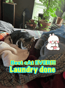 a cat laying on top of a pile of clothes with the words best cat ever laundry done
