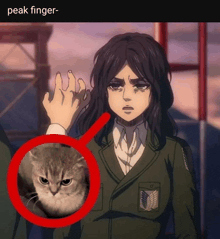 a picture of a person giving a cat a middle finger