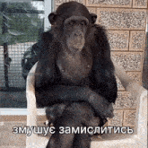 a chimpanzee is sitting in a chair with a russian caption
