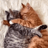 three cats are sleeping on a bed together .