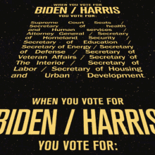When You Vote For Biden Harris Joe Biden GIF - When You Vote For Biden Harris Biden Harris Joe Biden GIFs