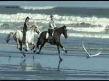Amor Meu Horseback Riding GIF - Amor Meu Horseback Riding Riding GIFs