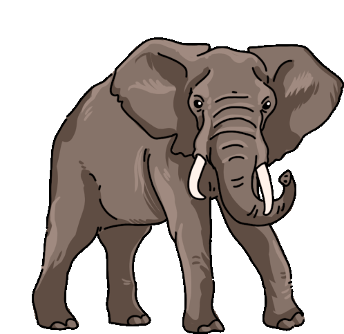 Elephant African Elephant Sticker - Elephant African Elephant Stickers
