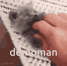 Demoman Tf2 GIF - Demoman Tf2 Tf2cat GIFs