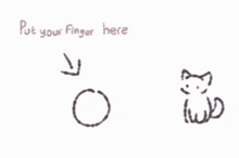 Cats Put Finger Here GIF