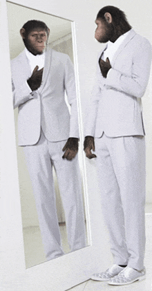 a monkey in a suit is looking at itself in the mirror