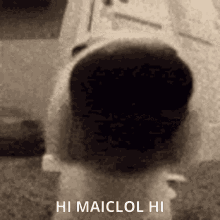 Hello Hi GIF - Hello Hi Maicol GIFs