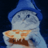 a cat wearing a blue hat holds a slice of pizza
