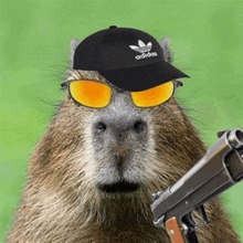 a capybara wearing a hat , sunglasses and a gun .