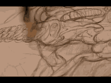 a person is drawing a skeleton on a piece of paper