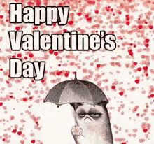 Not Intrested Grumpy Cat GIF - Not Intrested Grumpy Cat Happy Valentines Day GIFs