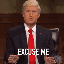 Excuse Me Donald Trump GIF - Excuse Me Donald Trump Saturday Night Live GIFs