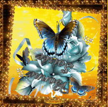 a butterfly is sitting on a flower with the words " amanda " written on it