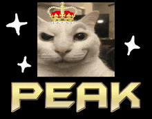 a picture of a cat with a crown and the word peak in gold