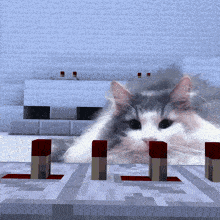 a gray and white cat is laying on a table in a minecraft scene