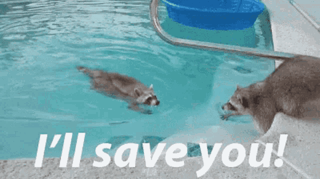 The Hunger Games I'll Save You Gif - IceGif