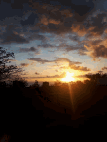 Sun Nature GIF