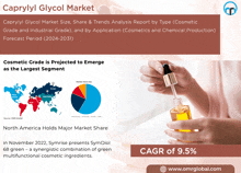 Caprylyl Glycol Market GIF - Caprylyl Glycol Market GIFs