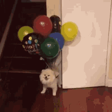 Balloon Dog GIF - Balloon Dog Float GIFs