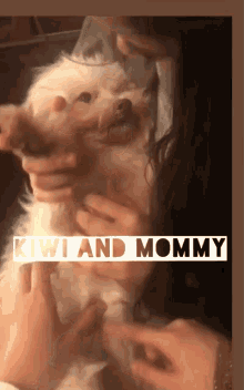 Kiwi And Mommy Dog GIF