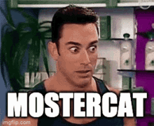 Mostercat GIF - Mostercat GIFs