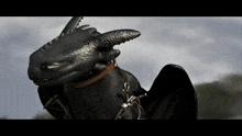 toothless from how to train your dragon is wearing a bridle and a collar .