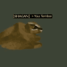 Shagan Femboi GIF - Shagan Femboi Spinning Cat GIFs
